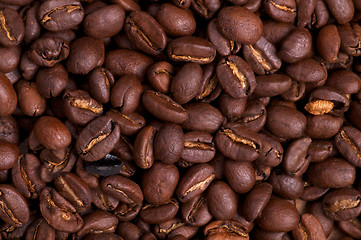 Image showing Coffee Beans