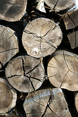 Image showing timber