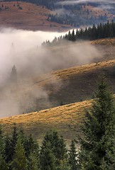 Image showing morning mist