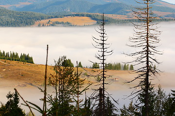 Image showing fog in the mountains