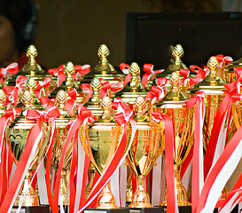 Image showing Trophies at a sports event