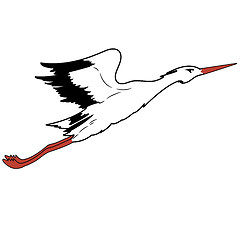 Image showing White Stork in flight. vector illustration.