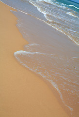 Image showing Tropical beach