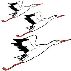 Image showing White Stork in flight. vector illustration.