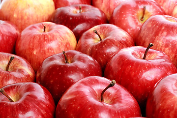 Image showing apples