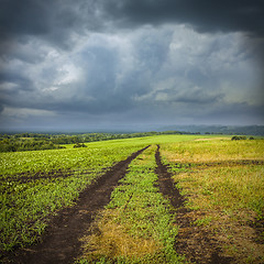 Image showing landscape with the sky