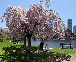 Image showing Spring in a city