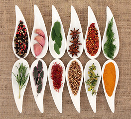 Image showing Herb and Spice Selection