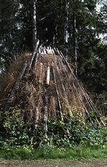 Image showing Turf hut.