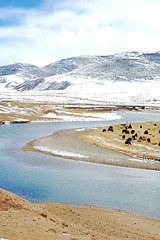 Image showing Landscape in winter