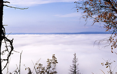 Image showing Fog