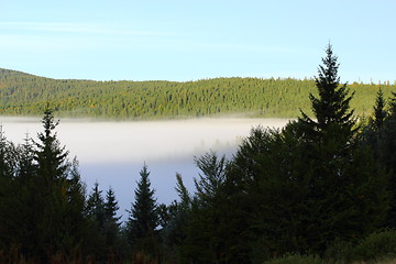 Image showing mist over the valley