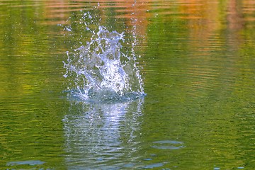 Image showing splashing water