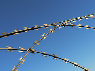 Image showing Razor Wire