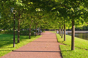 Image showing alley in the Park the morning sunshine 