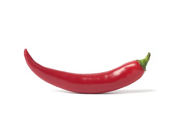 Image showing Red chili pepper