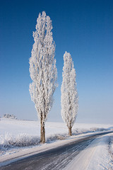 Image showing Empty road