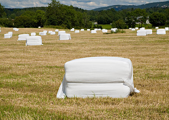 Image showing Balls of hay, wrapped in plastic