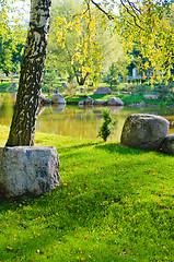 Image showing Garden in the Japanese style during autumn time