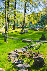 Image showing Garden in the Japanese style during autumn time