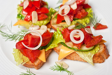 Image showing Toast with vegetables