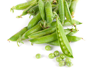 Image showing Ripe pea