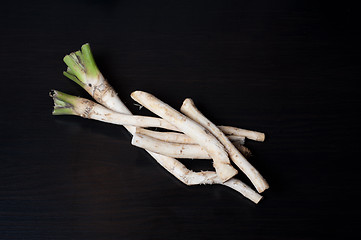 Image showing horseradish