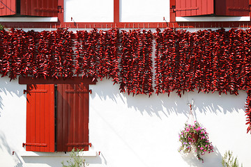 Image showing drying peppers bunches