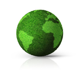 Image showing 3D green grass globe