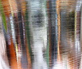 Image showing Silver Spin