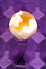 Image showing Lone egg