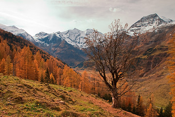 Image showing Autumn in Austria