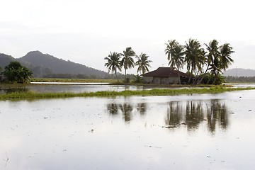 Image showing Malay Village