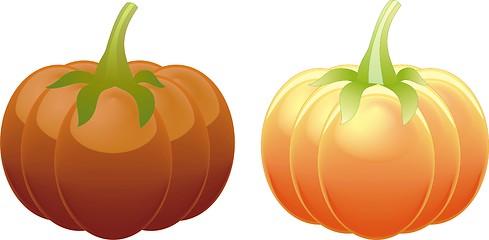 Image showing Two different orange pumpkin isolated on white