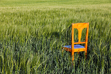 Image showing Corn field