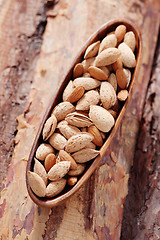 Image showing almonds