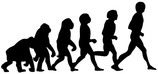 Image showing human evolution