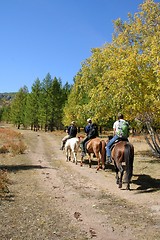 Image showing People riding horses