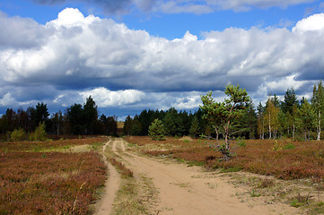 Image showing Landscape