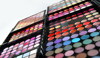 Image showing Professional cosmetic palette