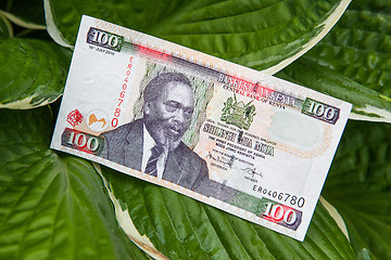 Image showing The money