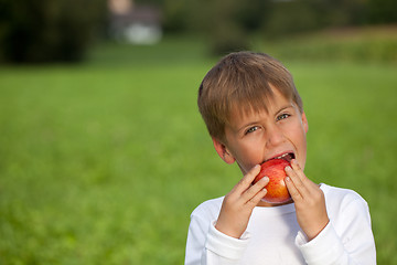 Image showing Child eating an apple