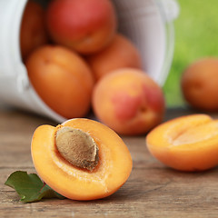 Image showing Apricots