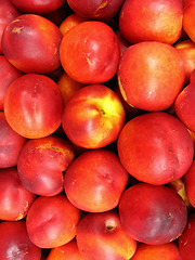 Image showing a lot of red nectarines