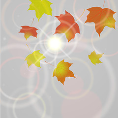 Image showing Autumn background with flying leaves