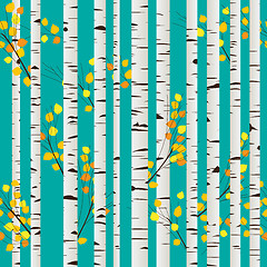 Image showing Birch forest pattern