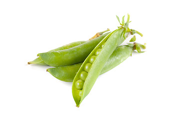 Image showing Ripe pea