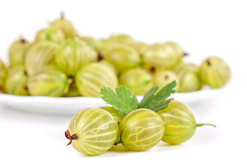 Image showing gooseberries