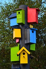 Image showing bird nests