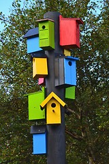 Image showing bird nests
